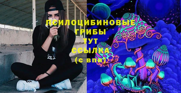 стаф Касимов