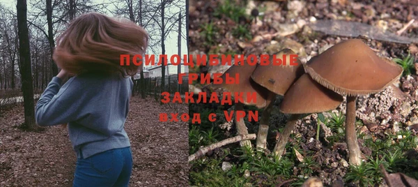 2c-b Каменка