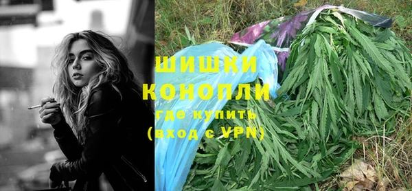 стаф Касимов