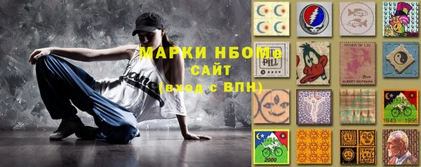 стаф Касимов