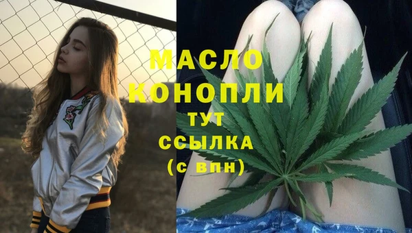 2c-b Каменка