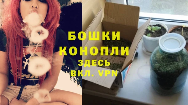 ГАЛЛЮЦИНОГЕННЫЕ ГРИБЫ Карталы