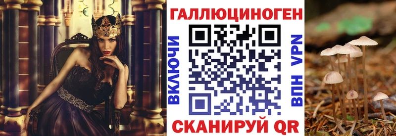 Купить где  Голицыно  Галлюциногенные грибы мицелий 