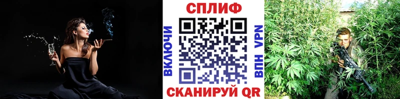 Конопля гибрид  Купить где  Голицыно 